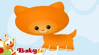 Cat Animal Sounds And Names For Kids & Toddlers