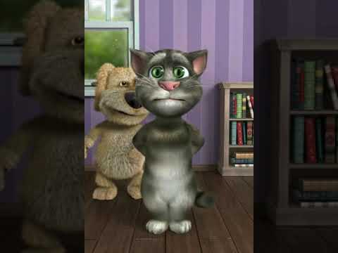 funny cats farting funny