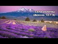 Тихое время с Живой Жизнью: Деяния 12:1–12 (03072018) Тихое время с Живой Жизнью: Деяния 12:1–12 (03072018)
