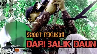Sharp Pegasus Erthes Is Back Shoot Tekukur Dari Balik Daun Tersembunyi