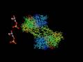 glycolysis - sequence of reactions glycolysis - sequence of reactions