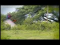 Ilamveyil - Music Album - Ilamveyilil Ilam kaatai....