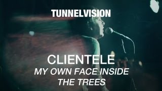 Watch Clientele My Own Face Inside The Trees video