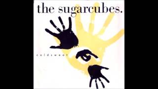 Watch Sugarcubes Coldsweat video
