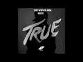 Avicii True Album