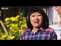 Hài Tết Trấn Thành Hari Won GALA HÀI - FULL | Mừng Xuân Kỷ Hợi 2019