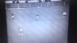 mmz_PLOhbus Video Image
