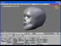 Hair tutorial with Blender Particles and softbodies
