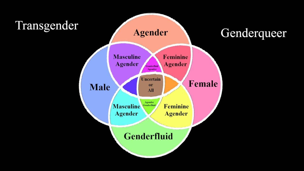 Domination femininity gender in oppression phenomenology study thinking
