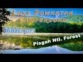 Lake Powhatan Campground , Asheville NC | Pisgah National Forest