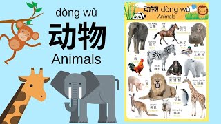 Learn Different Animals In Mandarin Chinese For Toddlers, Kids & Beginners 动物