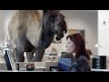 Geico Hump Day Camel Commercial Happier Than A Camel On images Geico Hump Day Camel Commercial Happier Than A Camel On