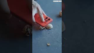 Moto G100 Pro Durability Test