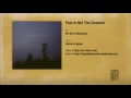 Pain Is Not The Cleanser Video preview