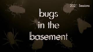 Bugs In The Basement - Lepisma Saccharina aka The Silverfish