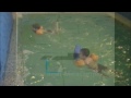 Плавание в детском центре «Кайсар» (2)