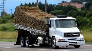 curta metragem#97 (vídeo de caminhão para status)🎶mc lipi praiou
