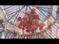 Chihuli Outside