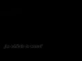 agapornis