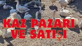 Kaz Pazari Ve Güncel Fi̇yatlari