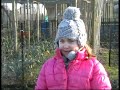 polytunnels