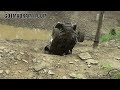 TIM CAMERON SHOWS OUT RZR STYLE