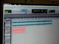 dubplatepolice