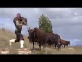 Mahlanya - Nakeng tsa Poho (Music Video)