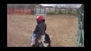 Goat Riding 101 Billy Goat