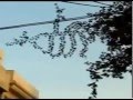 MOJZA IN FAISALABAD MUST WATCH - YouTube.flv