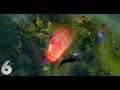DotaCinema