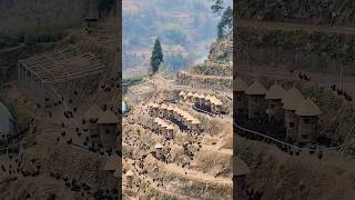 How Do Chinese People Raise Chickens On Mountain Slopes?