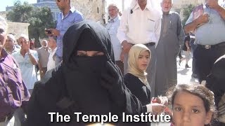 mount cory muslim Zombie muslim hordes on the temple mount wake up folks category nonprofits & activism license standard youtube license show more show less. mount cory muslim Zombie muslim hordes on the temple mount wake up folks category nonprofits & activism license standard youtube license show more show less.