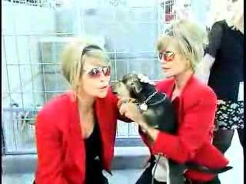 Shane and Sia Barbi The Barbi Twins actively support shelter pet adoptions 