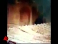 Brazil Cops Filmed Shooting Unarmed Teen
