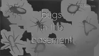 Bugs In The Basement- Gasterophilus Haemorrhoidalis aka The Nose Bot Fly