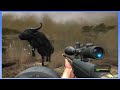 Cabela's Dangerous Hunts 2013: STAMPEDE - PART 2 - Steam Train