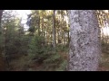 airsoft sniper footage - scope cam - SSVS Endgame 2013