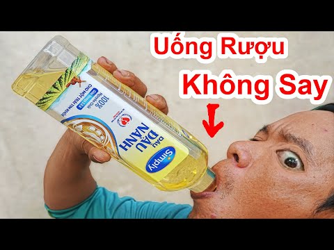 Cách Uống Rượu Bia Không Say Cực Hay / Mẹo Nhậu Bia Rượu Không Thấy Say Hiệu Quả .beer is not tired