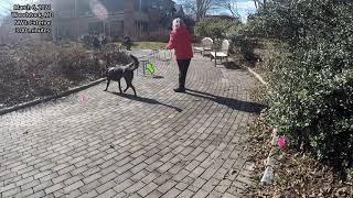 Exterior Sample Video - March 6 NW1