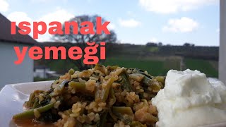 Ispanak Yemeği̇ni̇ Bi̇rde Böyle Deneyin. Hayatim Mutfak