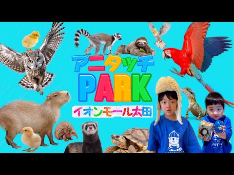 新形態newオープン⭐︎アニタッチPARKイオンモール太田/ふれあい動物園/アミューズメント施設が融合