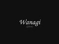 Wanagi (Ghost) The Song of Invisibility - Native American Flute - John DeBoer