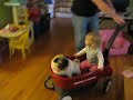 Sofie & Bella in the Wagon