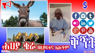 የአህያ ቄራ በቢሾፍቱና ሌሎችም - Donkey Slaughter House in Ethiopia - DW