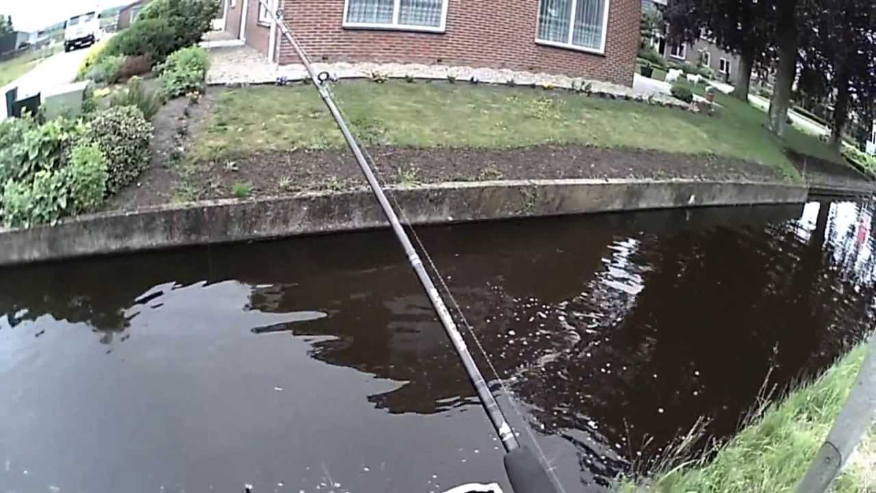 Internet le magasin barnaoul la chasse et la pêche