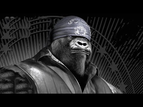So einfach lösen Sie Ihren Gorillasportswear Gutschein ein