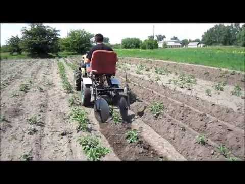 Дисковые окучники для мотоблока фото Дисковые окучники для мотоблока фото
