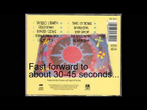 Say Hello to Heaven by Temple of the Dog HQ HD grunge