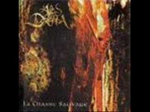 Les Chants De Brennos Video